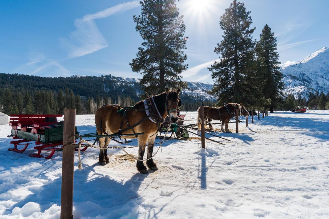 Aspen Suites 506: The Nest Leavenworth Extérieur photo